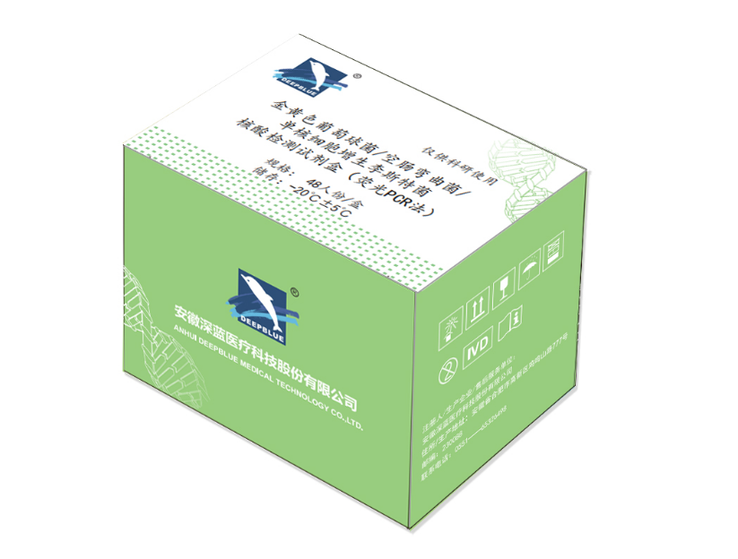 金黄色葡萄球菌/空肠弯曲菌/单核细胞增生李斯特菌核酸检测试剂盒